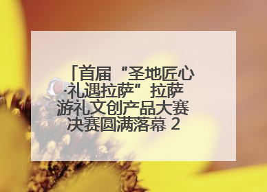 首届“圣地匠心·礼遇拉萨”拉萨游礼文创产品大赛决赛圆满落幕 20强文创佳作绽放雪域文化魅力